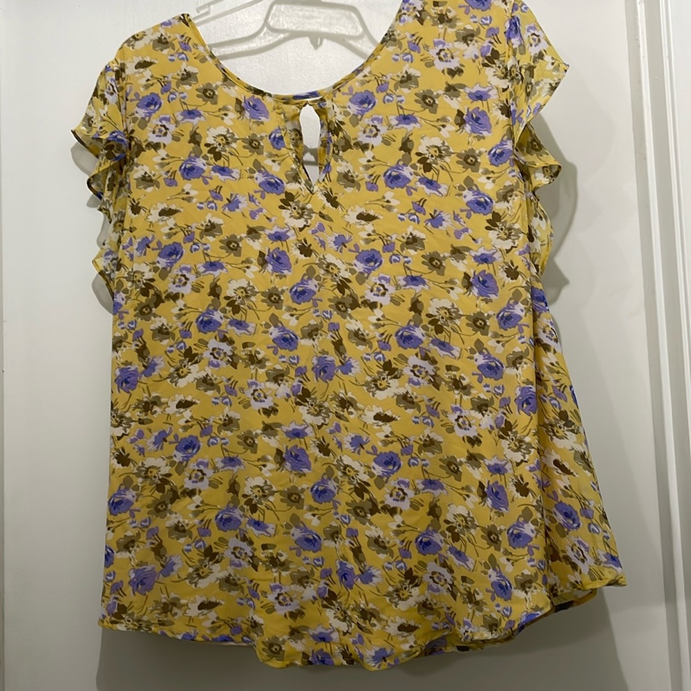 Fully lined sleeveless Mollly & Isadora  top. Size 2X.